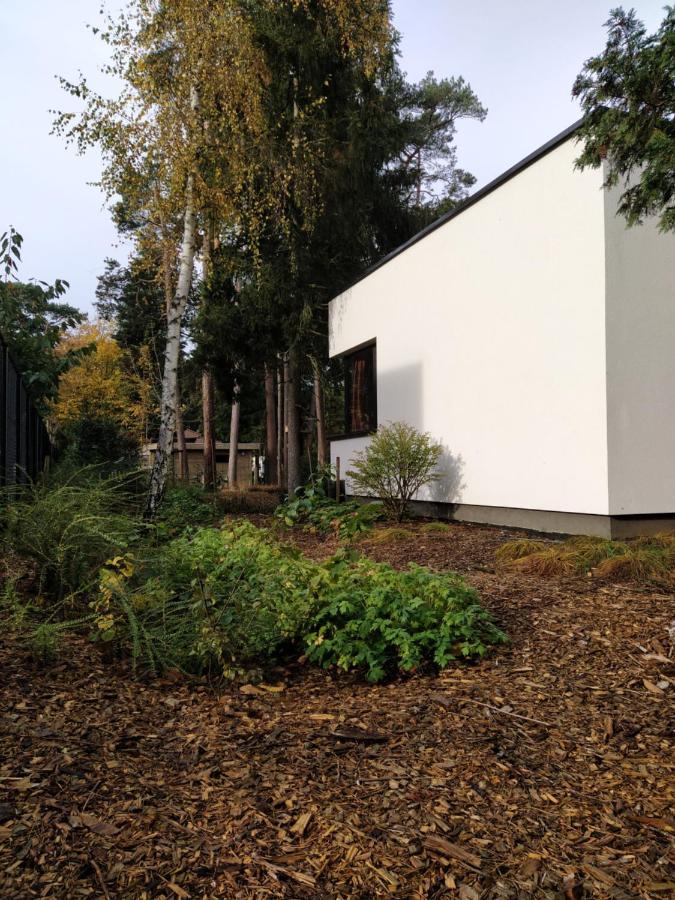 B&B Altijd Zomer Nijlen Ngoại thất bức ảnh
